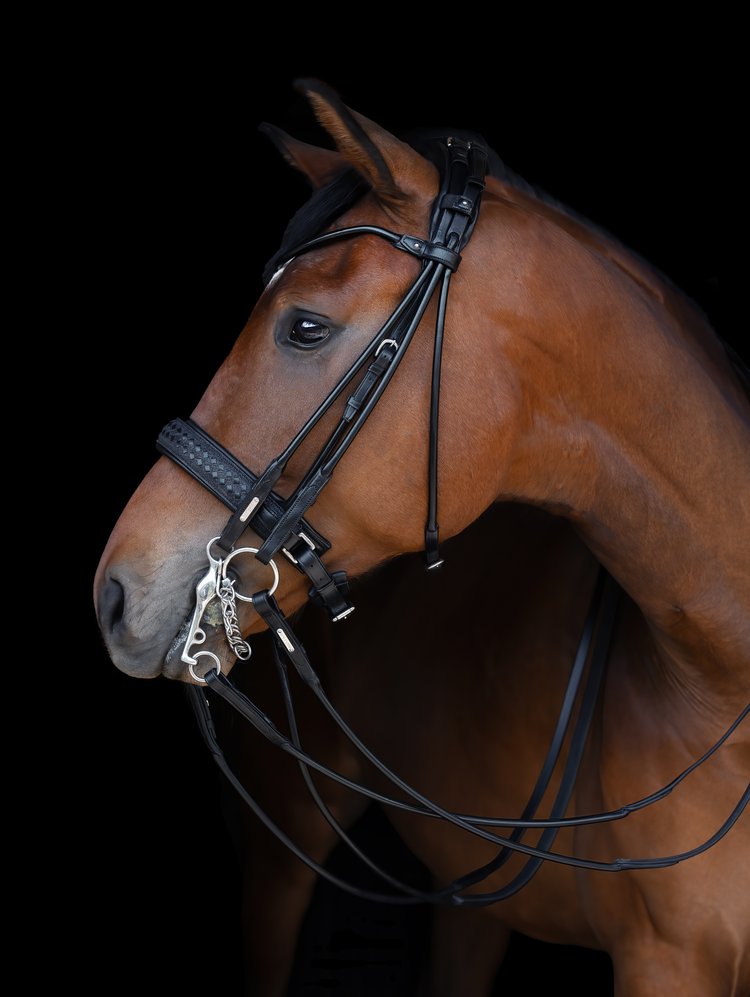 Olympic Double Bridle, limited edition