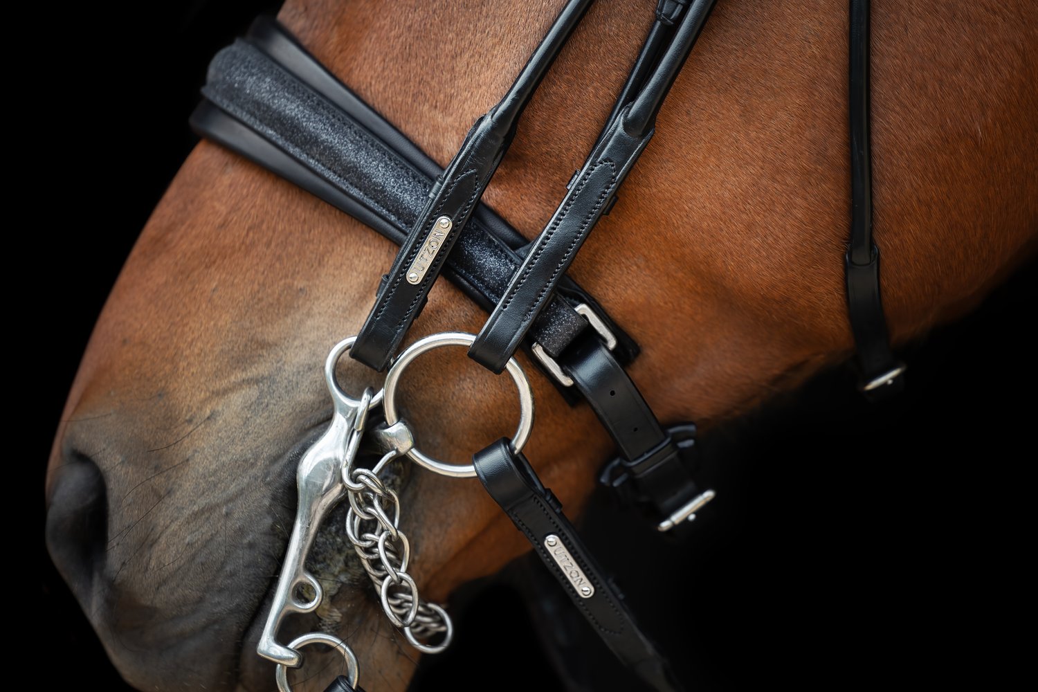 Edinburgh Double Bridle, Glitter