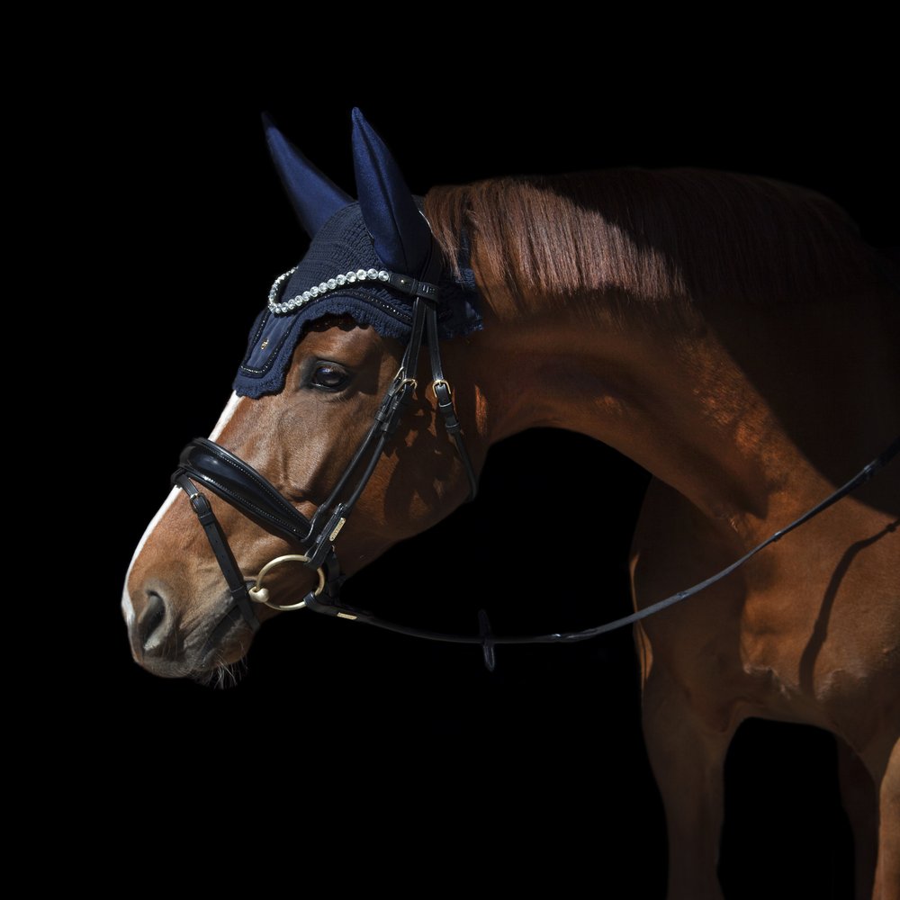 Copenhagen Bridle