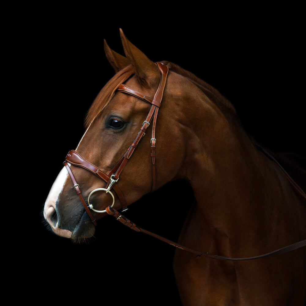 Oxford Bridle