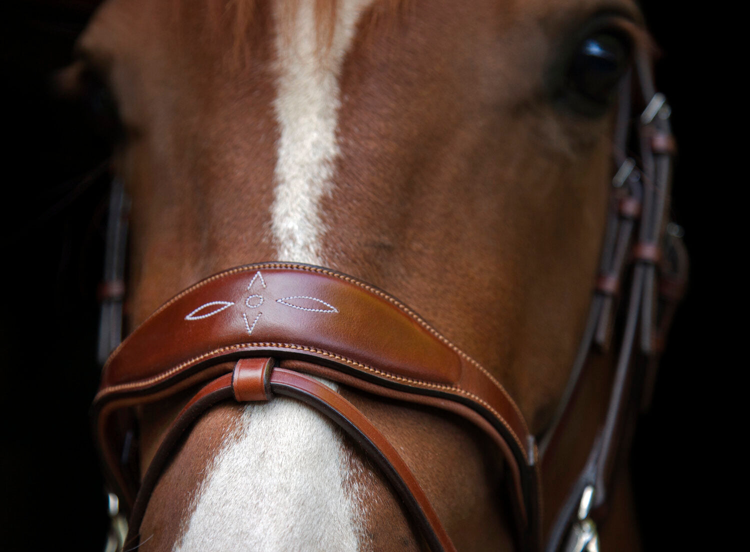Oxford Bridle