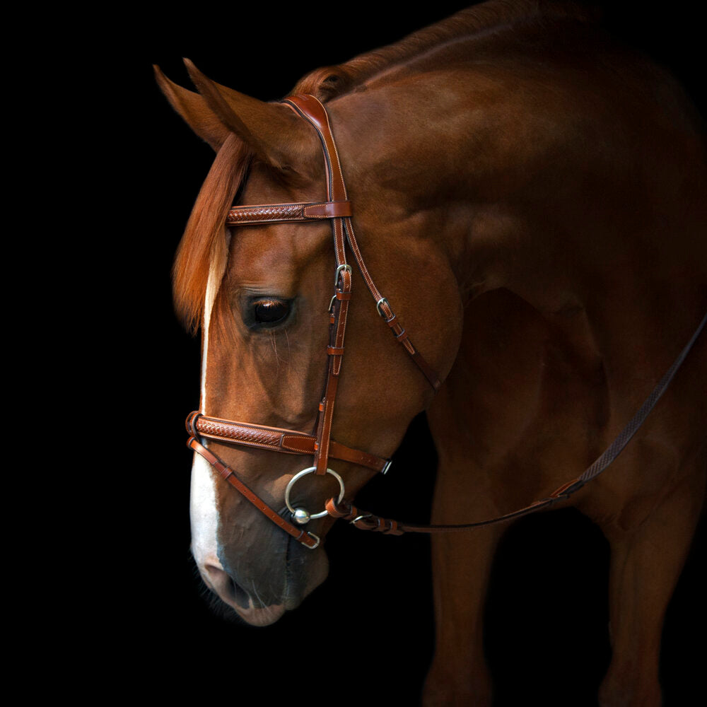 Grand Prix Bridle