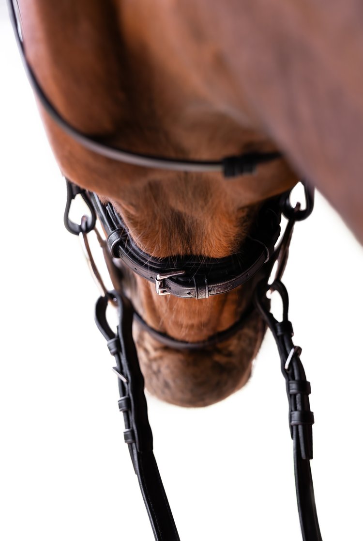 Grand Prix Bridle