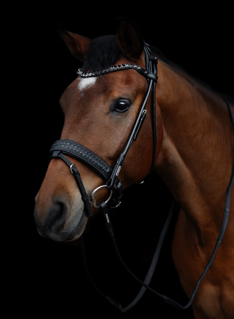 Olympic Bridle, Limited edition