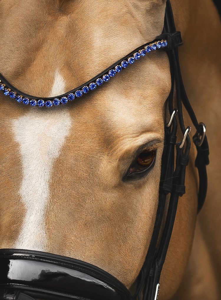 Elegant Browband, sapphire