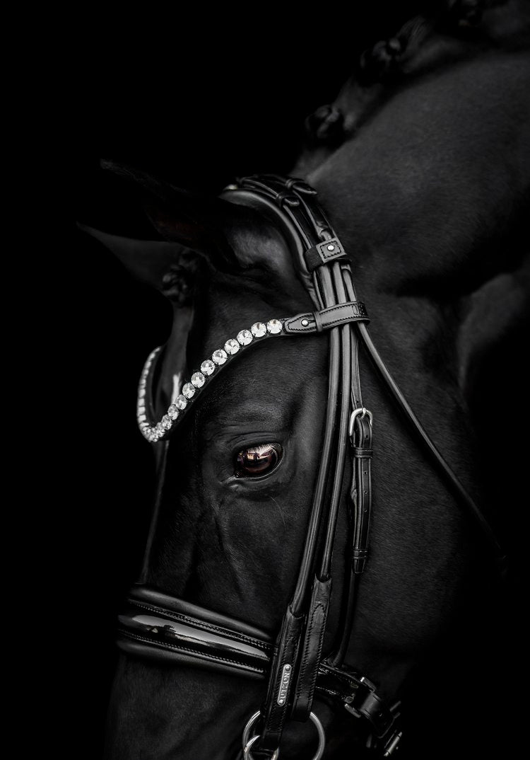 Empire Browband, clear