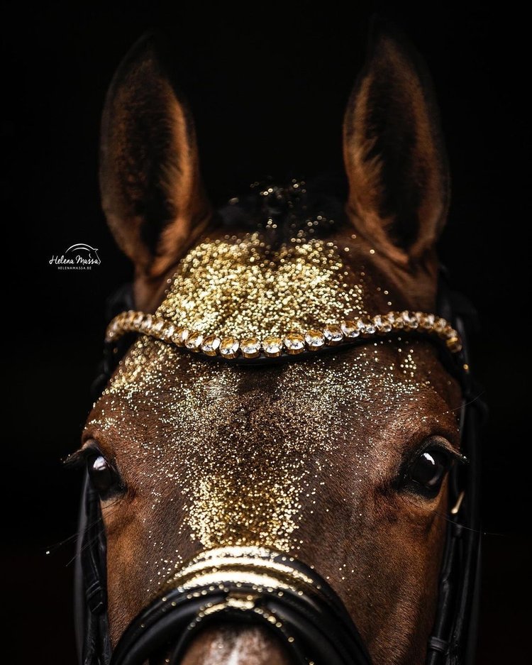 Empire Browband, golden shadow