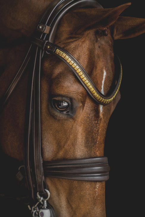 Browband with clinchers
