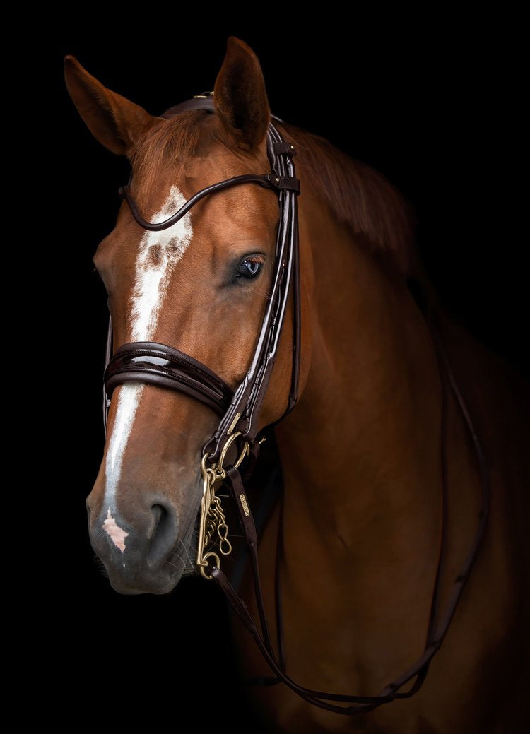 Edinburgh Double Bridle