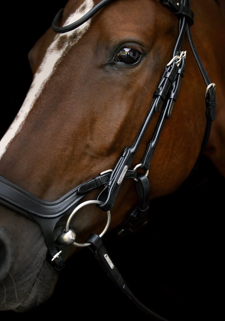 Bristol Bridle