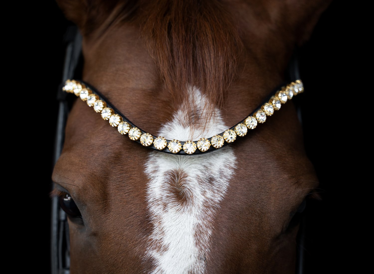 Emperor browband, clear