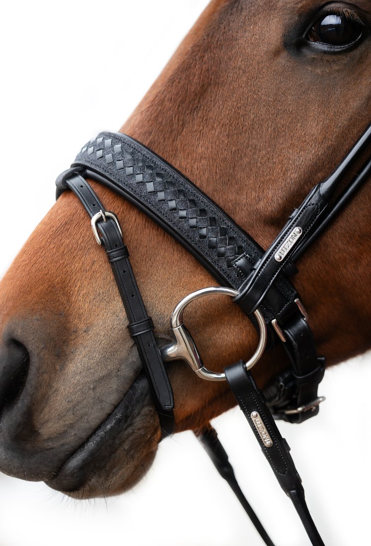 Olympic Bridle, Limited edition