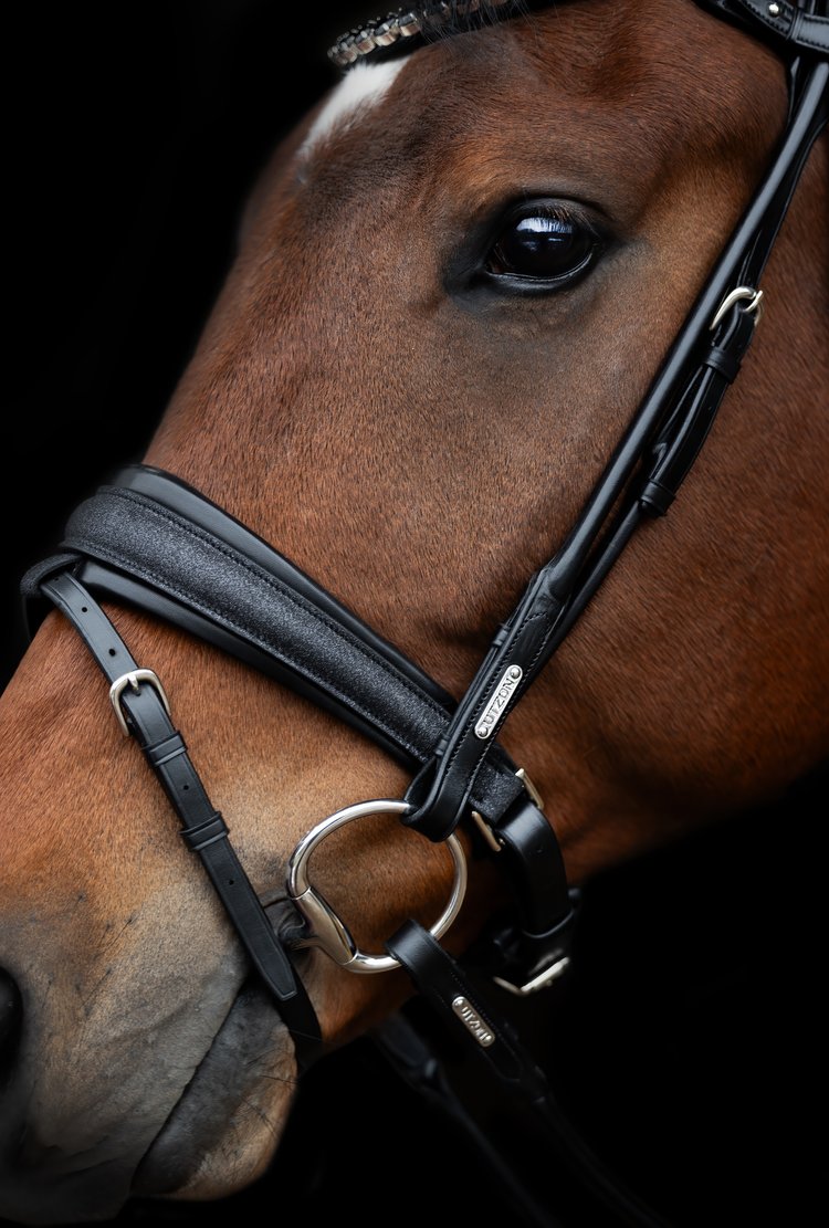 Edinburgh Bridle, Glitter