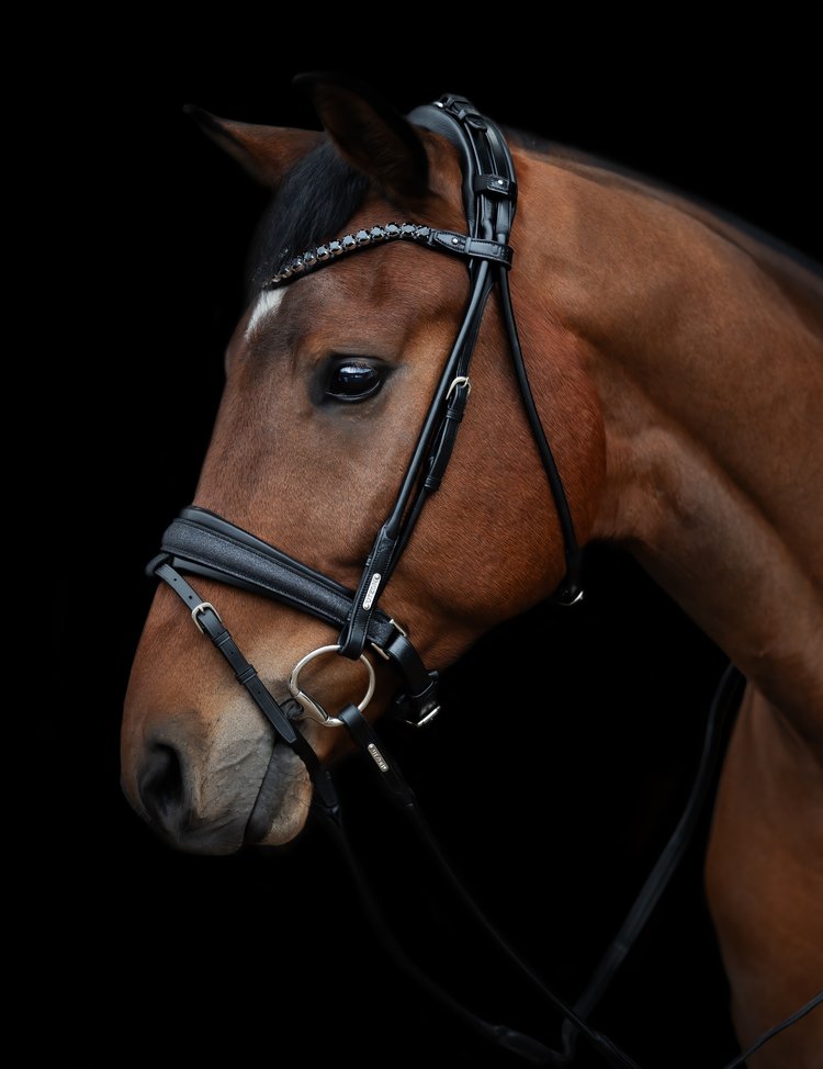 Edinburgh Bridle, Glitter