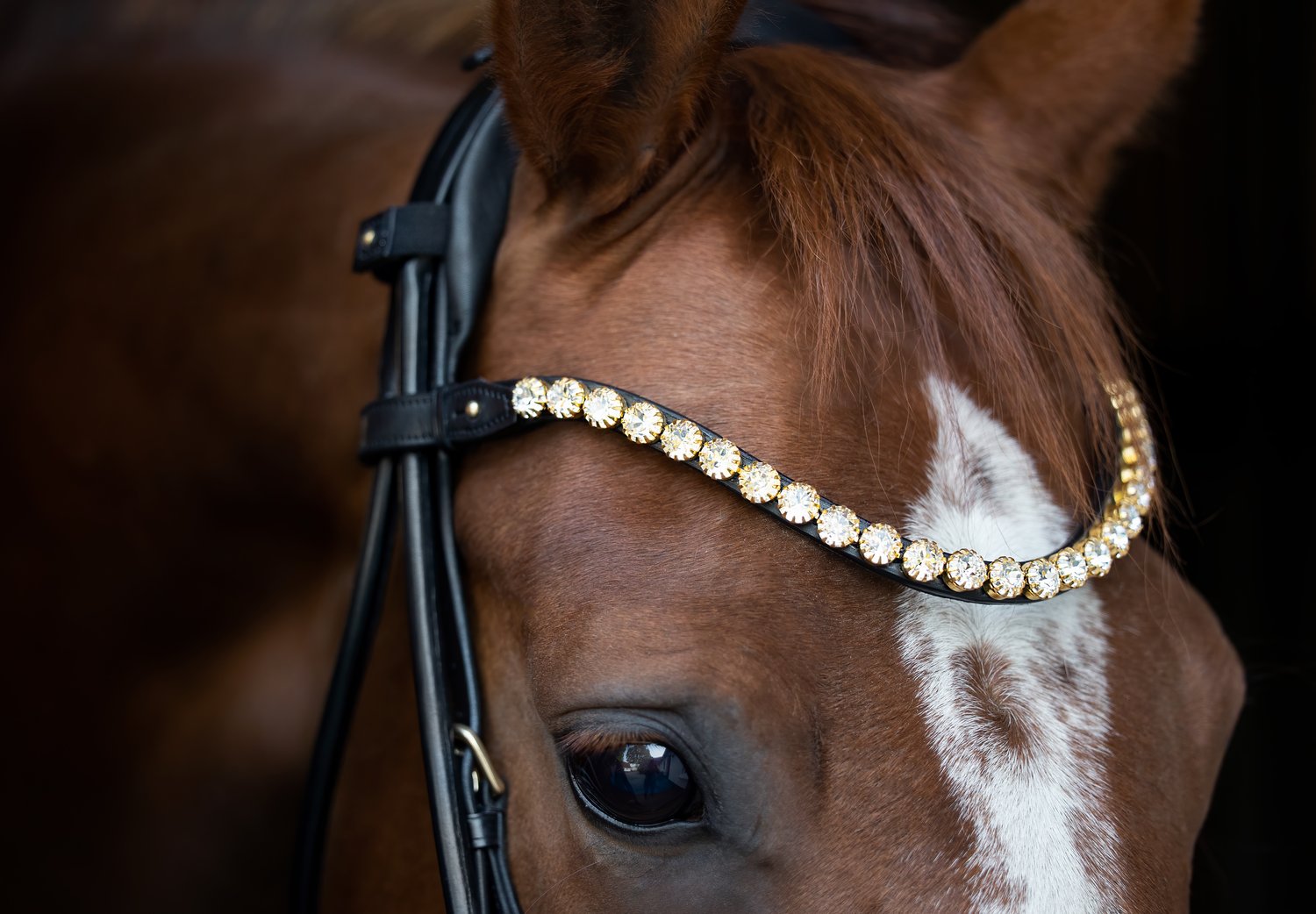 Emperor browband, clear
