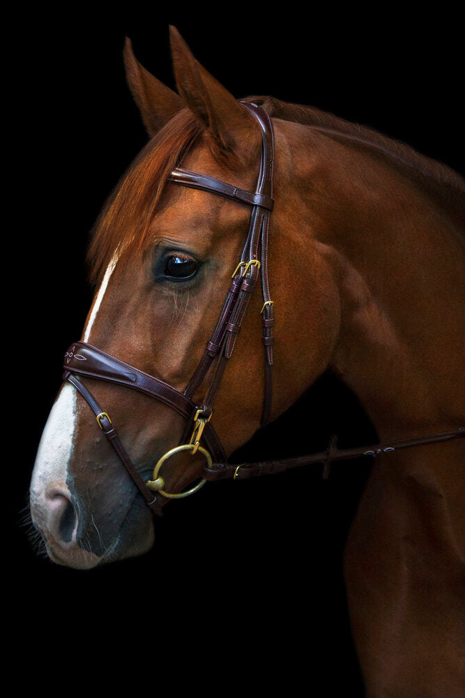 Belmond Bridle