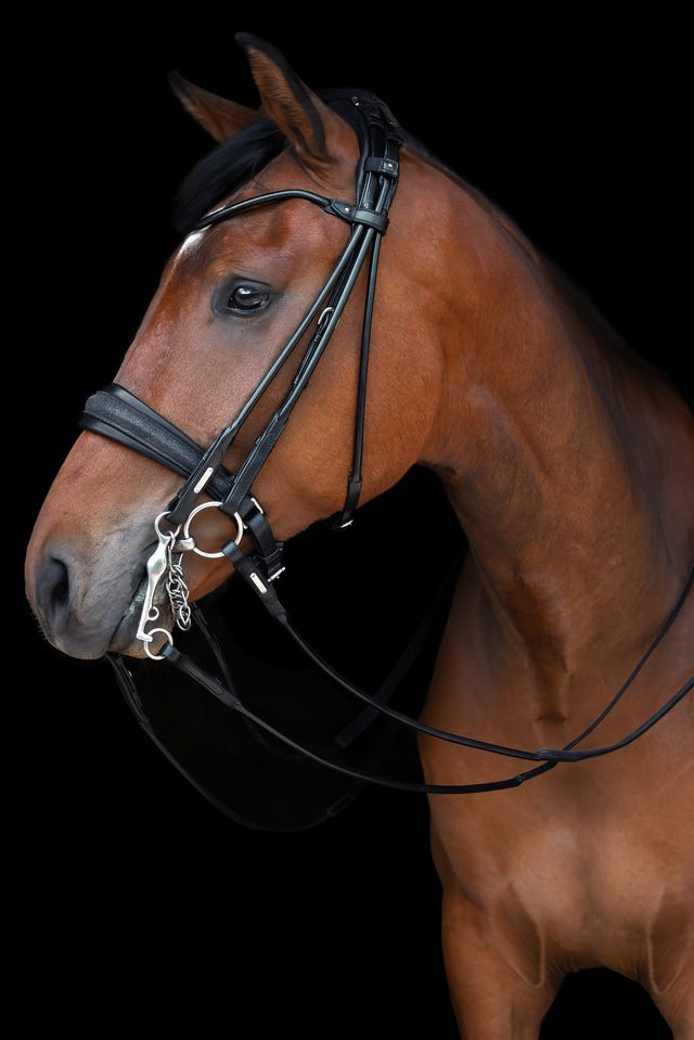 Edinburgh Double Bridle, Glitter