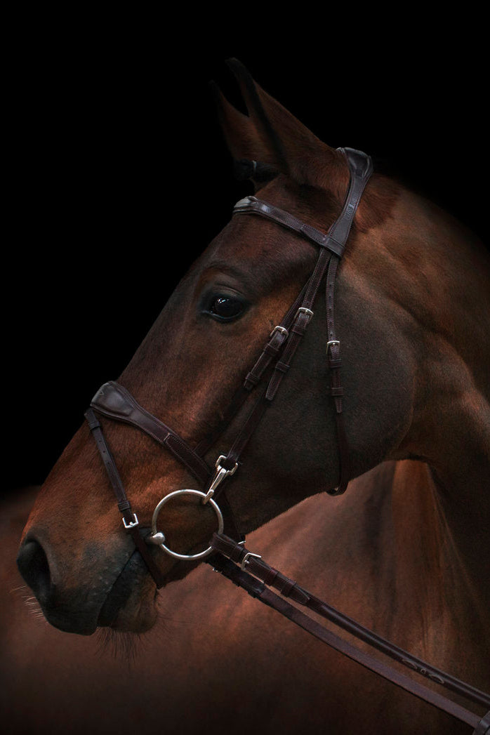 Oxford Bridle