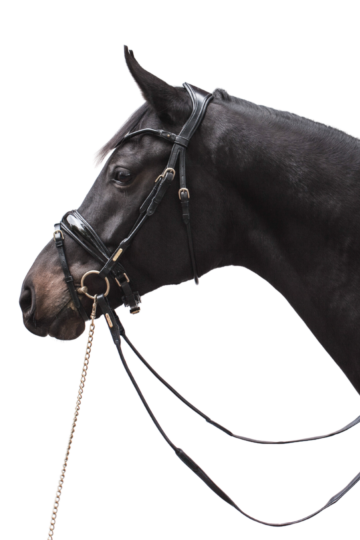 Copenhagen Bridle