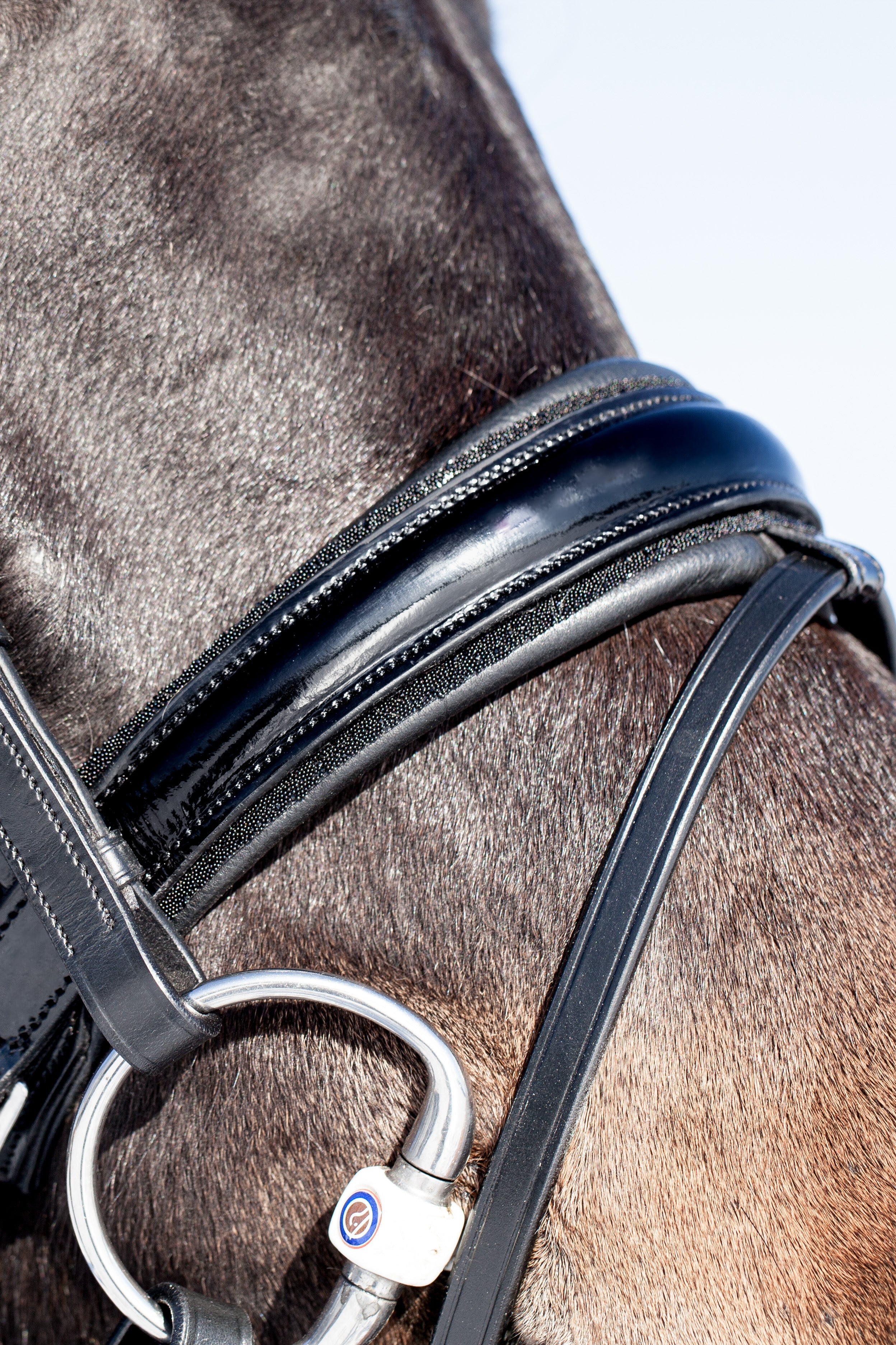 Miami Bridle, Black crystals