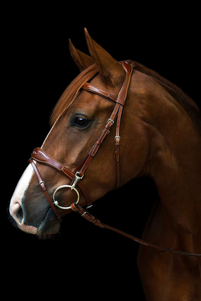 Oxford Bridle