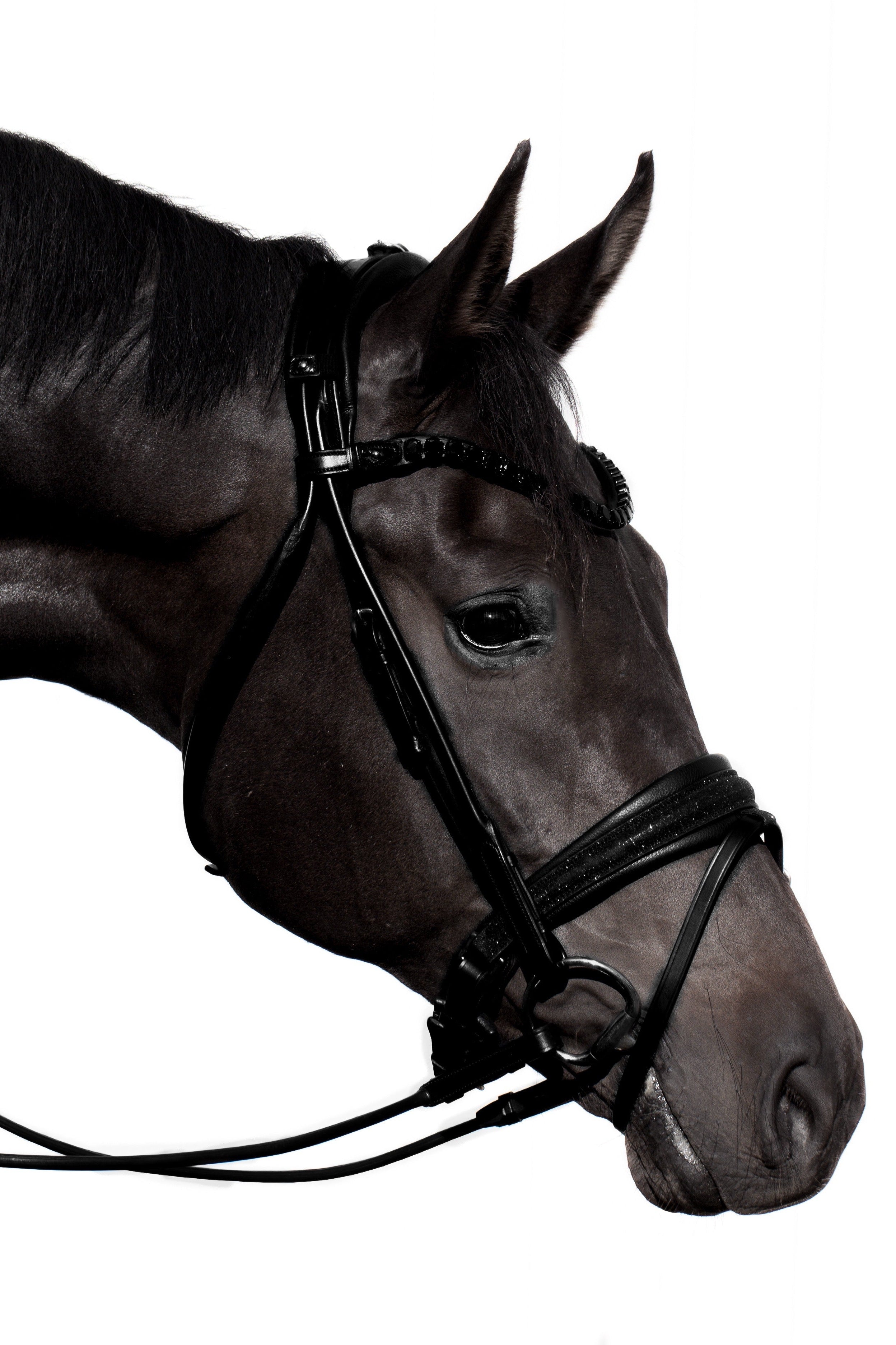 Edinburgh Bridle, Glitter, Limited Edition