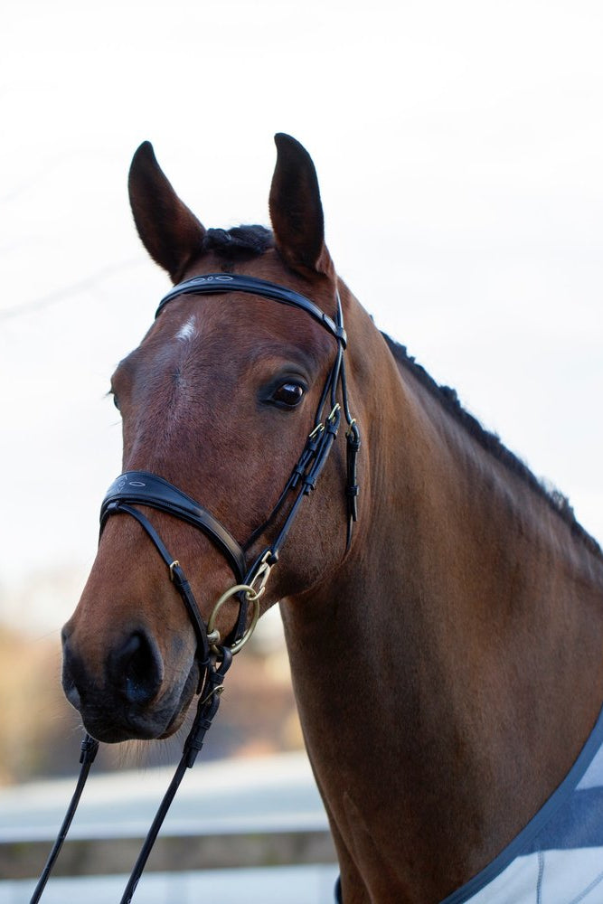 Belmond Bridle