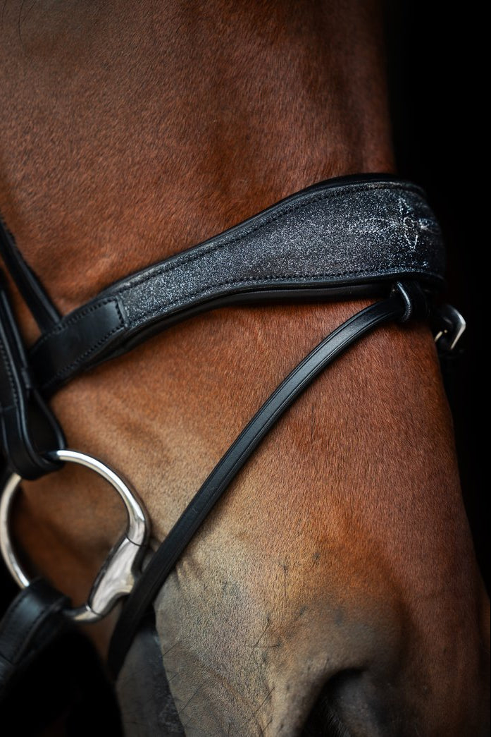Oxford Bridle, Limited edition