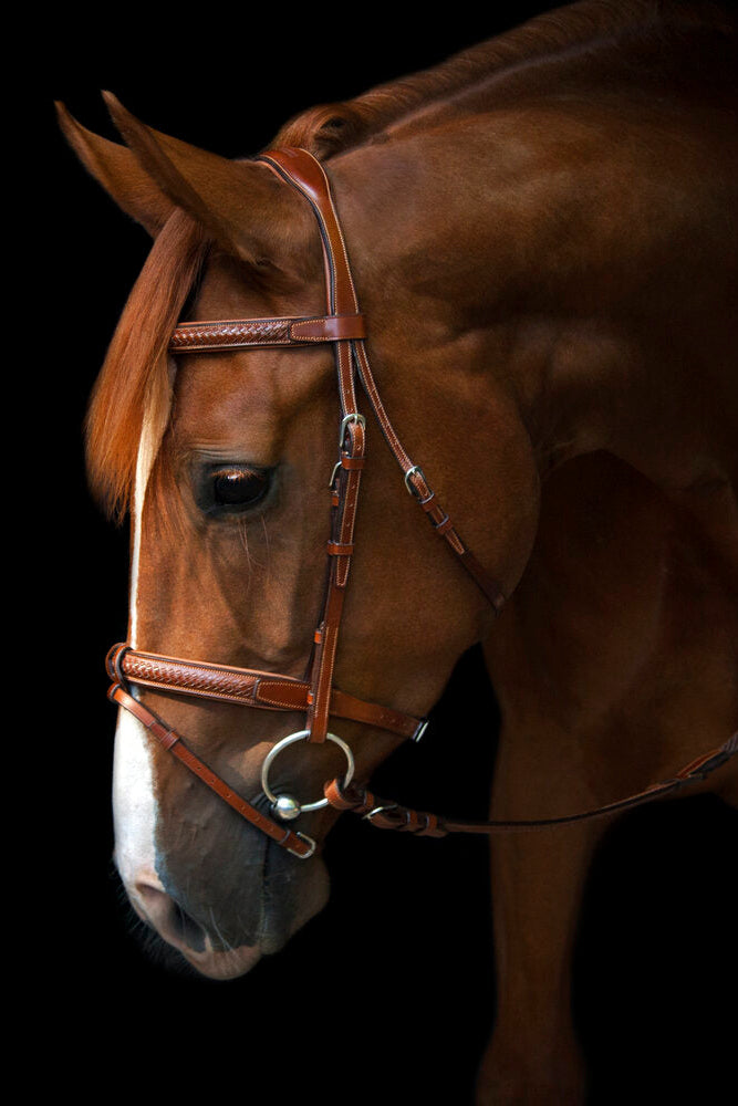 Grand Prix Bridle