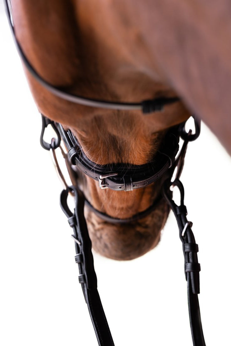 Grand Prix Bridle