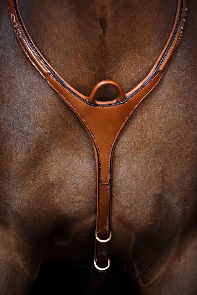 Belmond breastplate