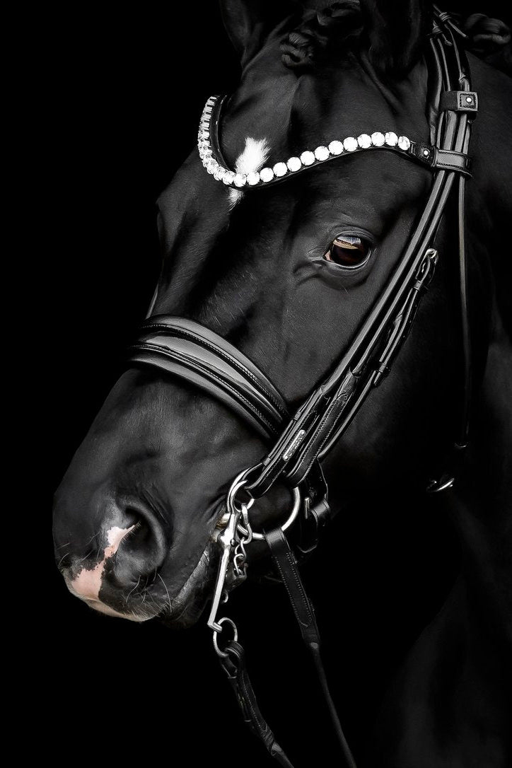 Edinburgh Double Bridle, Crystal Edition