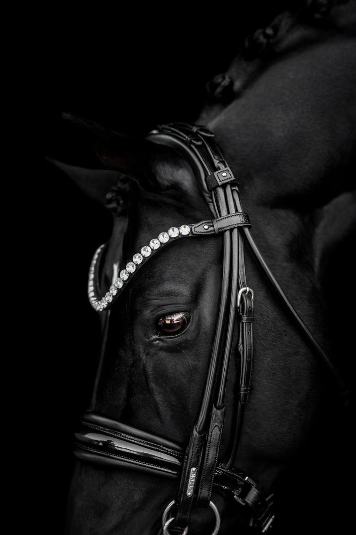 Edinburgh Double Bridle, Crystal Edition