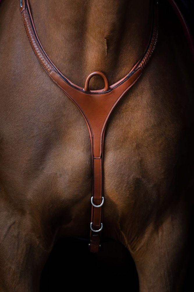 Grand Prix breastplate
