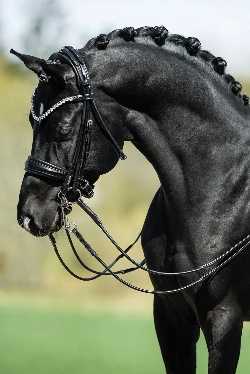Edinburgh Double Bridle, Crystal Edition
