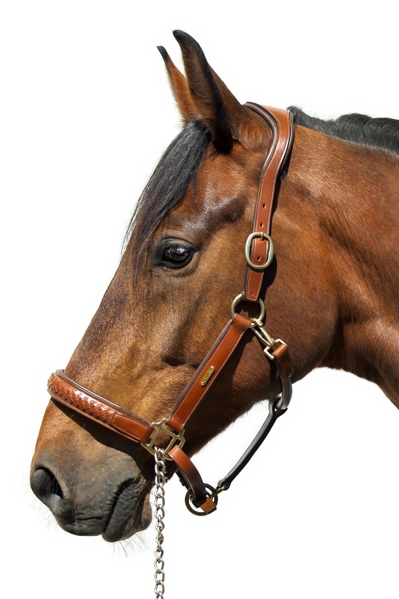 Olympic halter