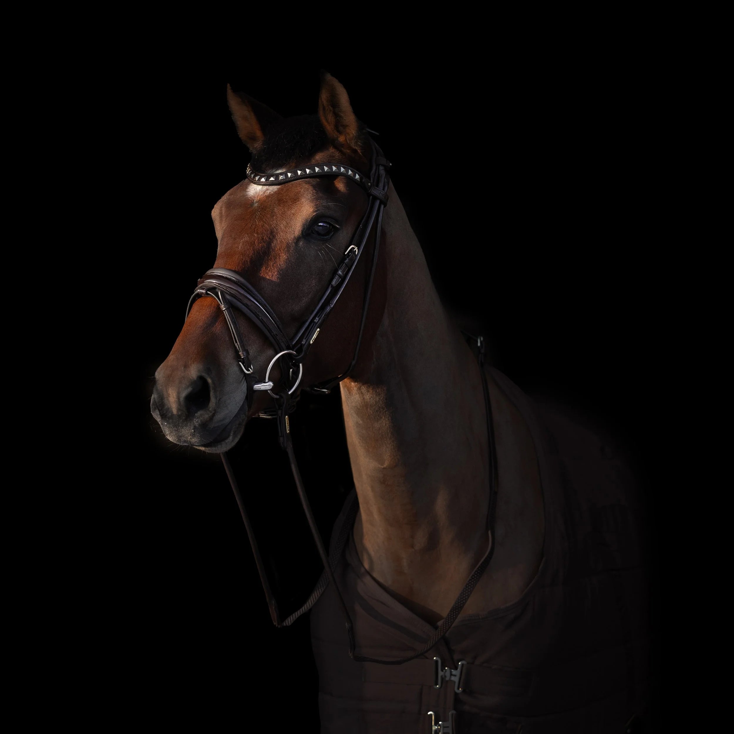 Edinburgh Bridle Brown, Lacquered Noseband
