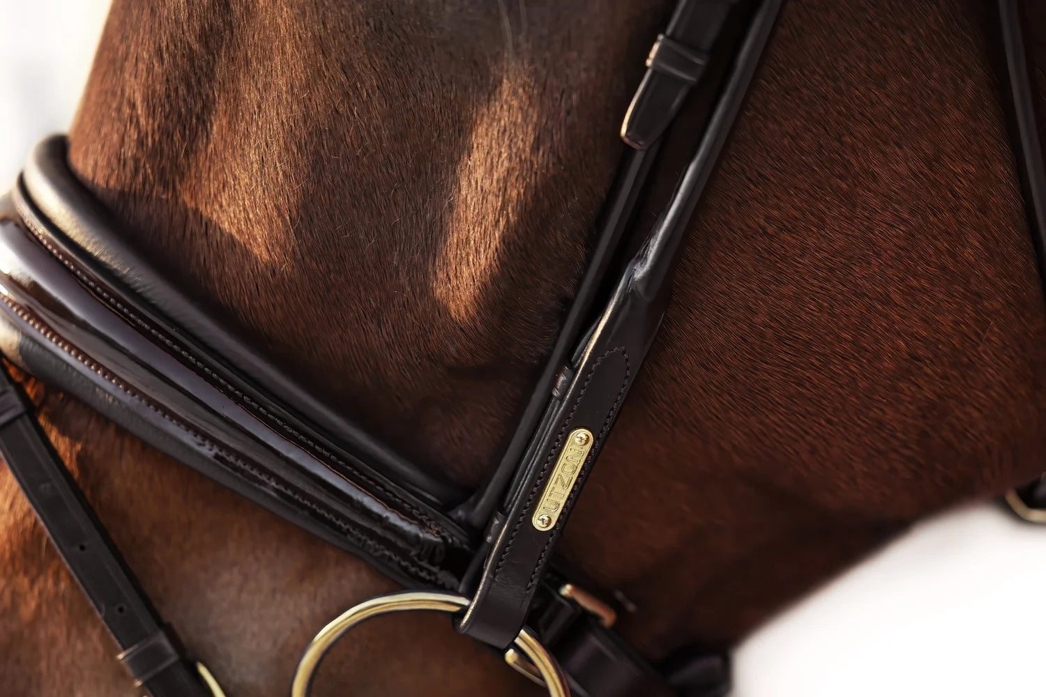 Edinburgh Bridle Brown, Lacquered Noseband