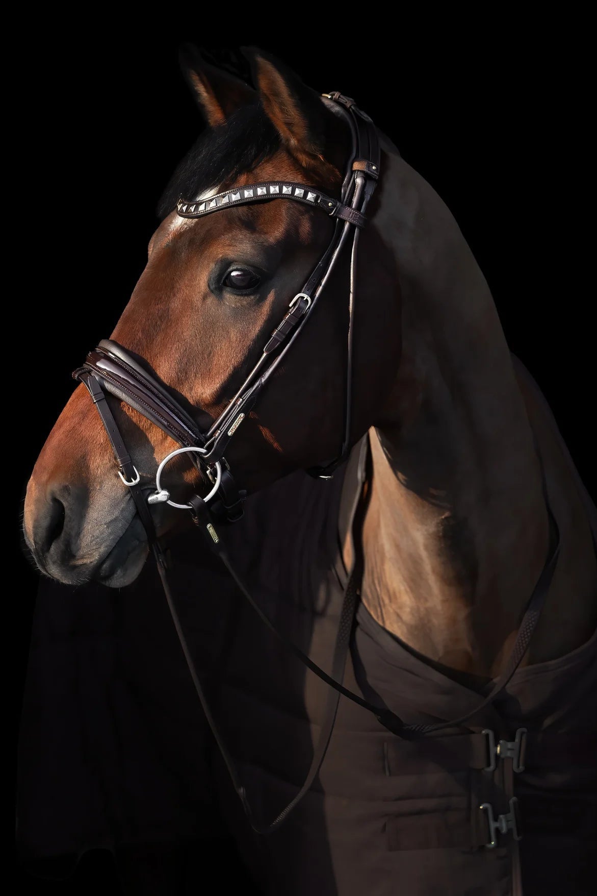 dark brown dressage bridle