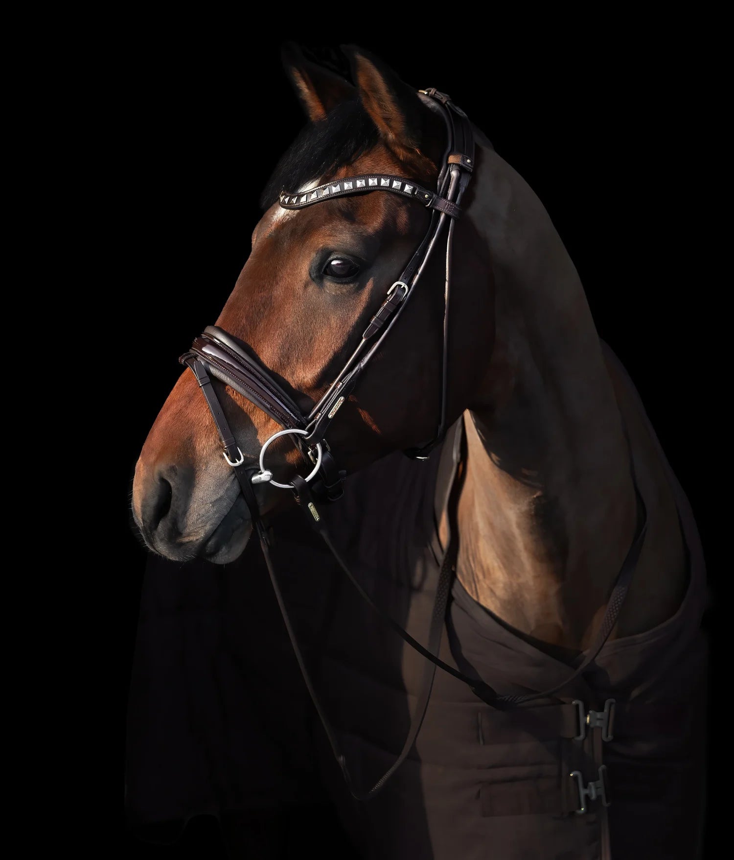 Edinburgh Bridle Brown, Lacquered Noseband