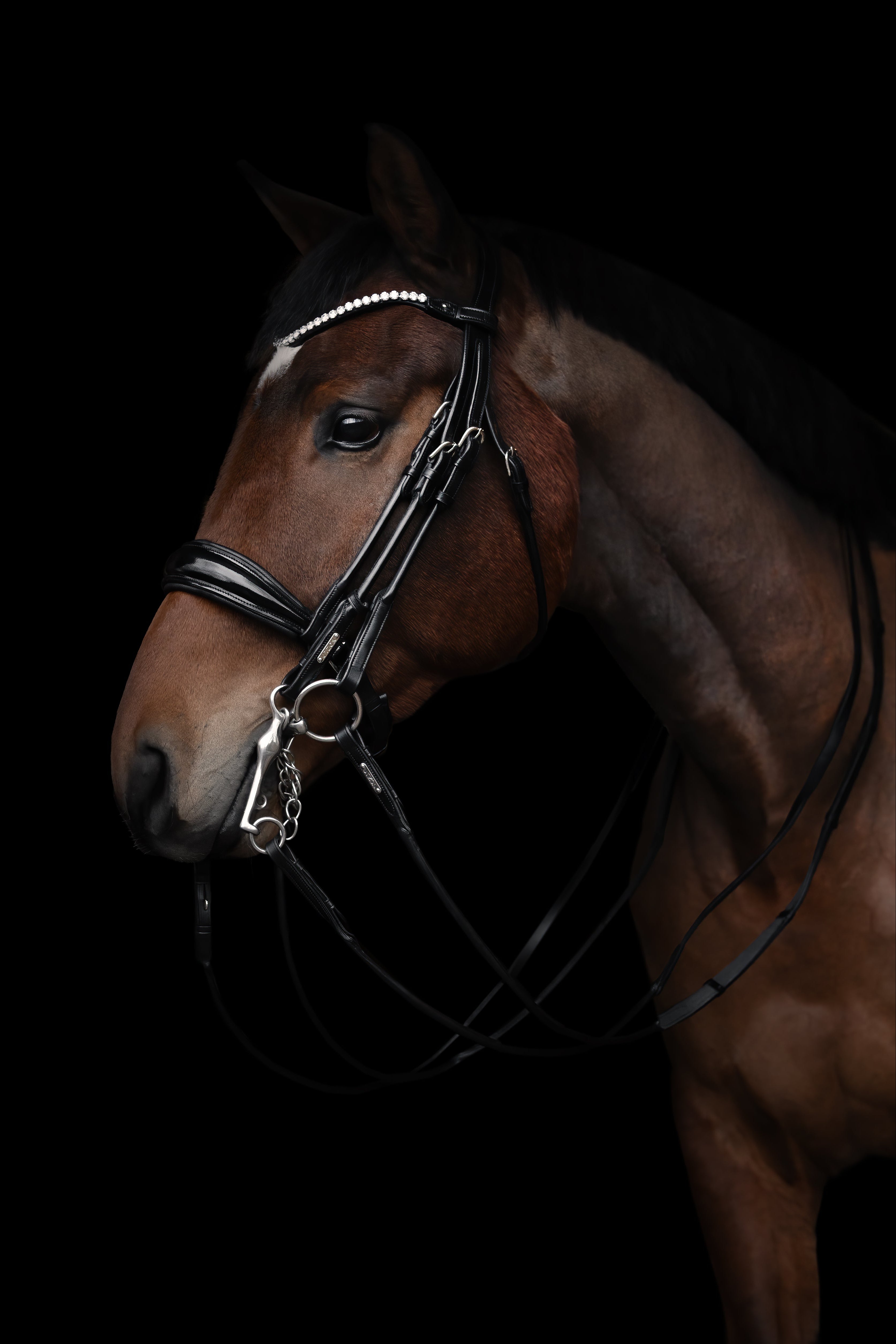 Copenhagen Double Bridle