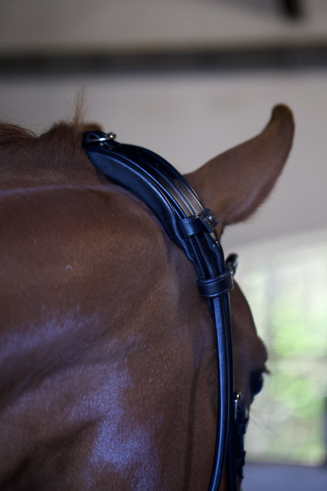 anatomical headpiece designed for poll pressure relief