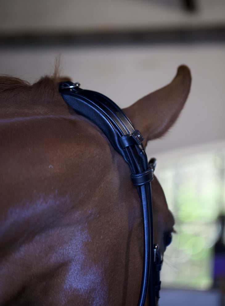 anatomical headpiece designed for poll pressure relief
