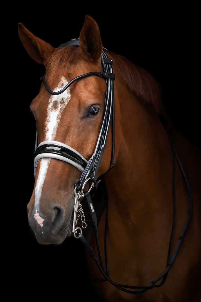 Edinburgh Double Bridle
