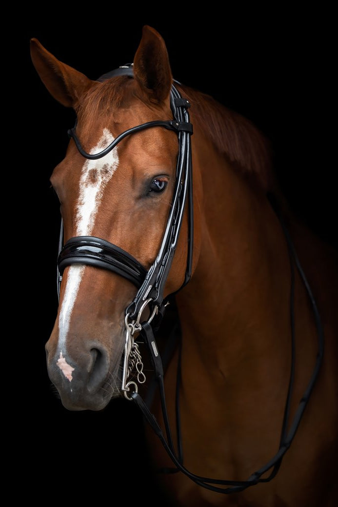 Edinburgh Double Bridle