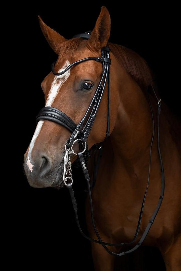 Edinburgh Double Bridle
