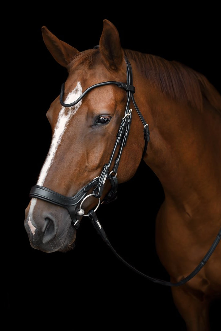 Bristol Bridle