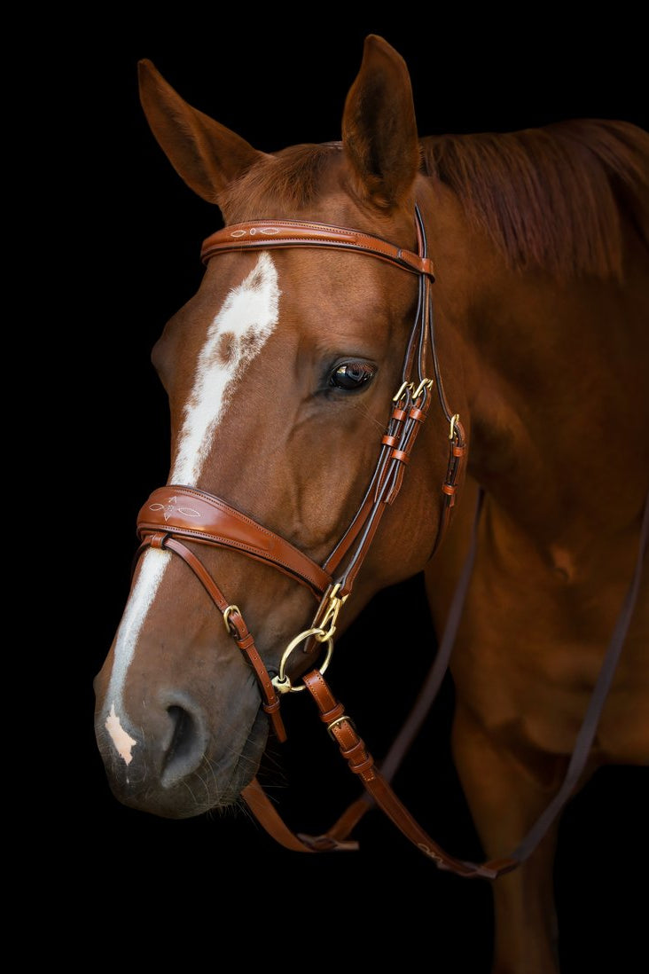 Belmond Bridle