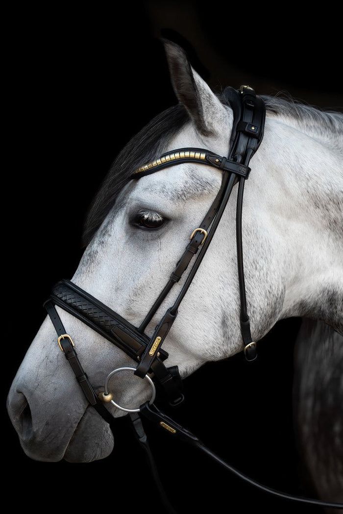Olympic Bridle