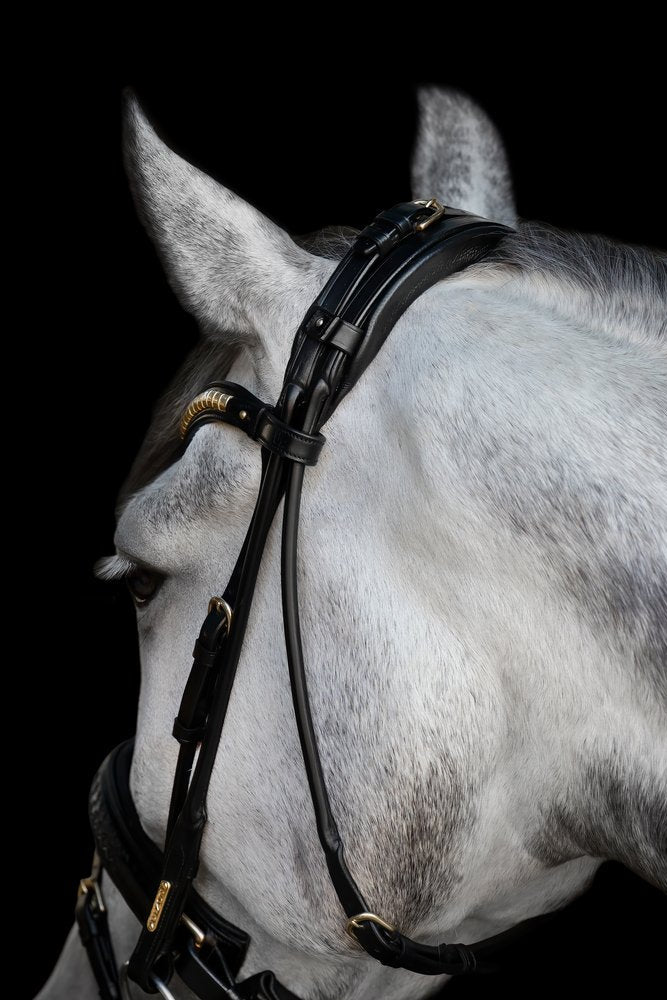 Olympic Bridle